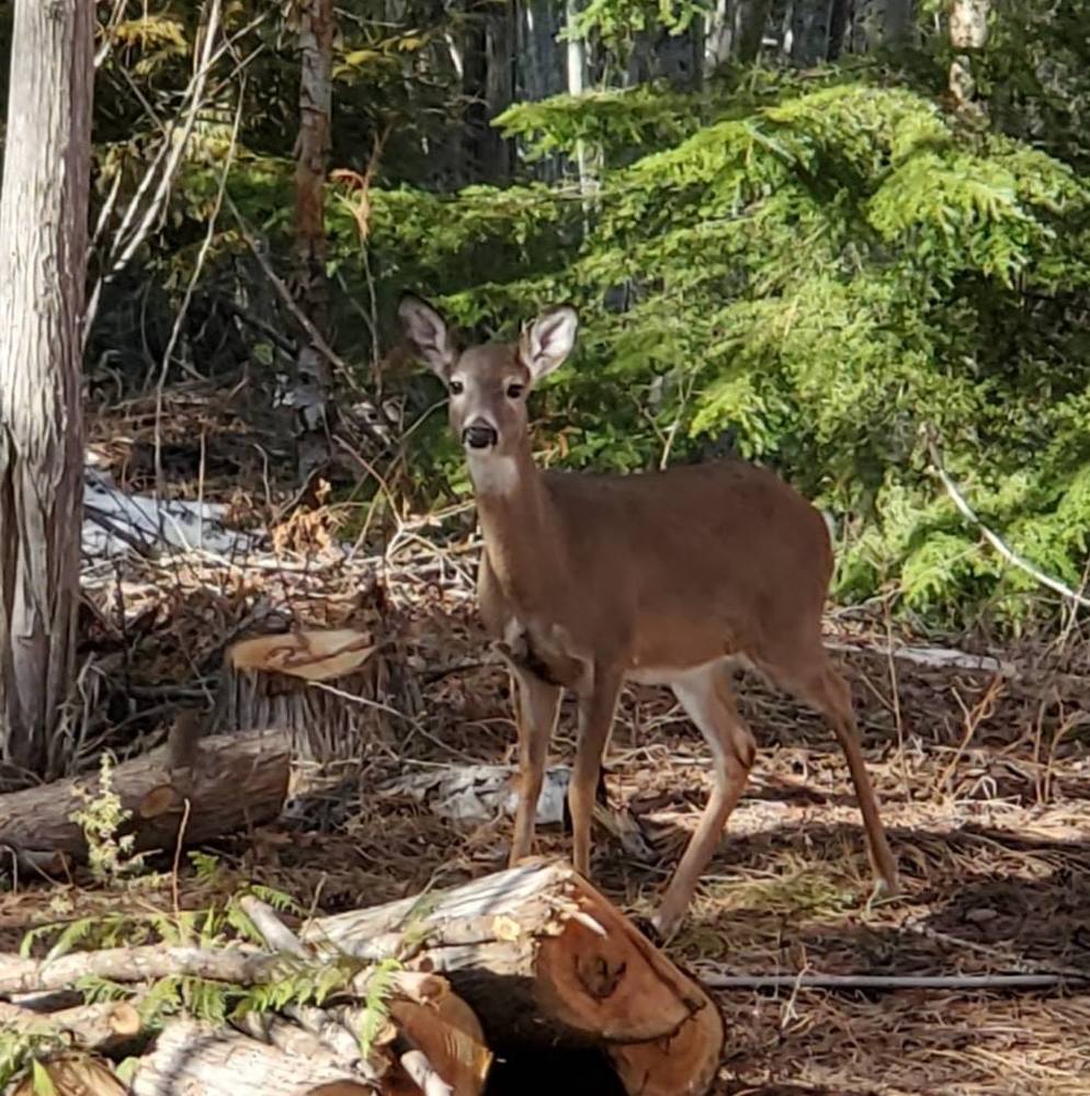Meet your Posher, Julie